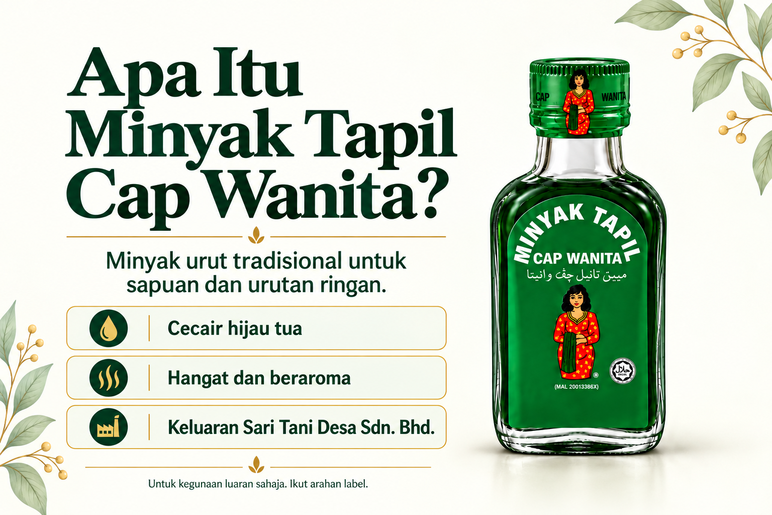 Infografik Minyak Tapil Cap Wanita memaparkan botol produk, ciri cecair hijau tua, sensasi hangat dan beraroma serta nama pengeluar.